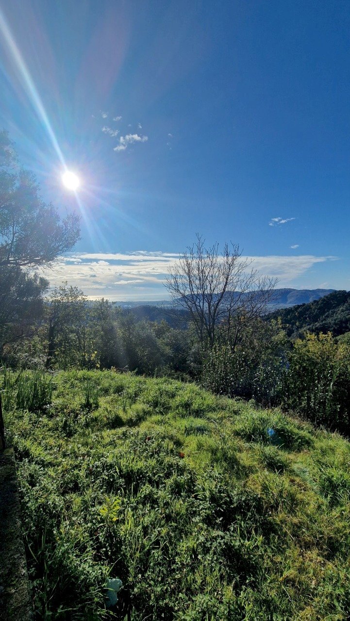 2a2cf97f-d43a-4dfe-b0b5-58083bec85e3.JPG - Rustico Sarzana - foto 2