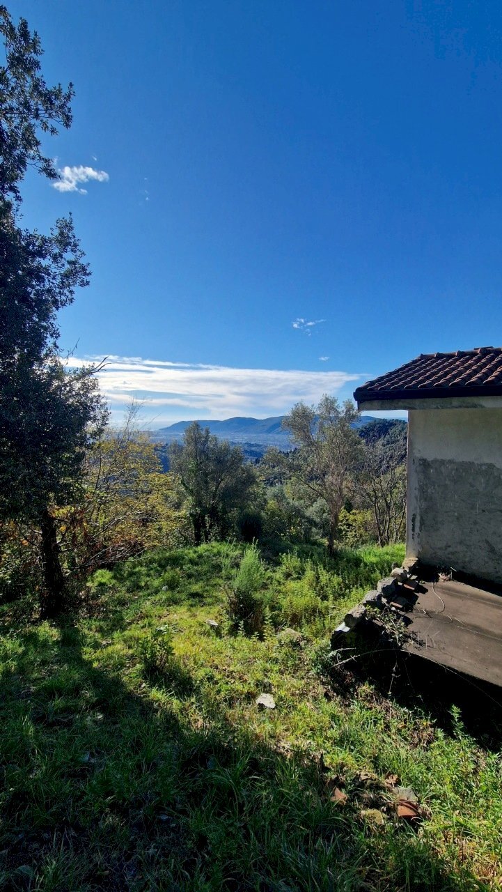 5509532d-3206-456b-aebc-2f2e978eaf51.JPG - Rustico Sarzana - foto 3