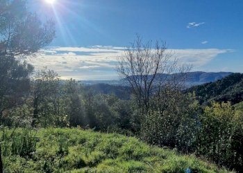 2a2cf97f-d43a-4dfe-b0b5-58083bec85e3.JPG - Rustico Sarzana - foto 2