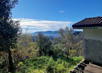 5509532d-3206-456b-aebc-2f2e978eaf51.JPG - Rustico Sarzana - foto 3