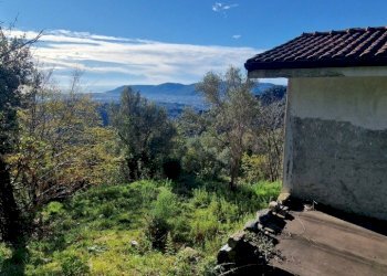 65378c5e-3ae0-47f6-ac0c-c5b99ffea84f.JPG - Rustico Sarzana - foto 5