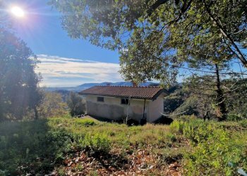 a2afa155-2875-4ac9-b95c-a0db250abd5f.JPG - Rustico Sarzana - foto 6