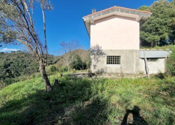 8848f8c9-90da-4ae4-a5b5-a63e62e8de44.JPG - Rustico Sarzana - foto 7