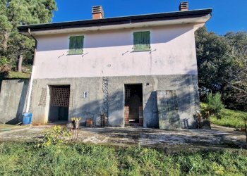 daed9e6c-32c2-4fd0-b237-5eba090e11b1.JPG - Rustico Sarzana - foto 10