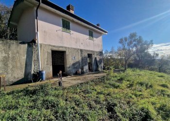 851768d7-4362-4676-91b4-ff308d5c5f25.JPG - Rustico Sarzana - foto 16