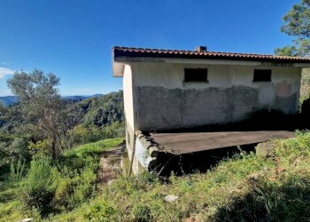 f3eae537-e9e4-4b4d-99d0-f00fbe6f3946.JPG - Rustico Sarzana - foto 18