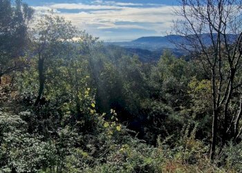 d27339d6-494e-425c-874b-460af9f4d046.JPG - Rustico Sarzana - foto 19