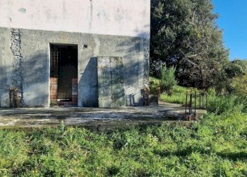 e73cf01b-d237-48a5-ad70-f5c011ec7292.JPG - Rustico Sarzana - foto 20