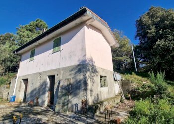 f506ced7-6f4c-43e6-b251-474678aadbed.JPG - Rustico Sarzana - foto 22