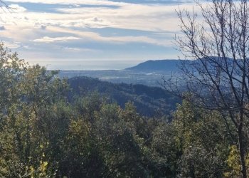 39c6fc4d-9e8c-4f67-a816-c57348ce0eca.JPG - Rustico Sarzana - foto 25