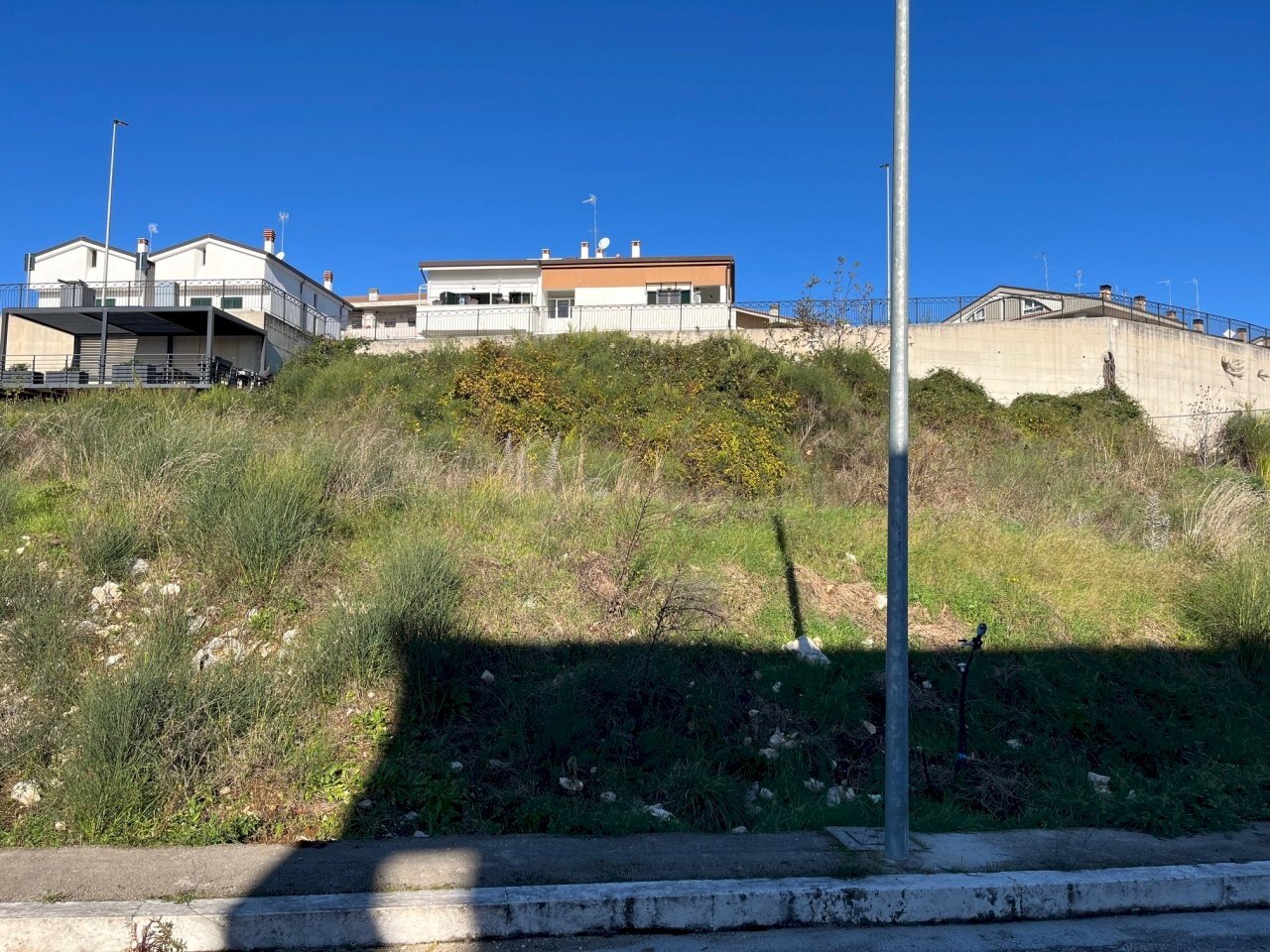 IMG_3703.jpg - Terreno agricolo Via delle Mele, Segni - foto 1