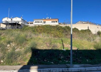 IMG_3703.jpg - Terreno agricolo Via delle Mele, Segni - foto 1