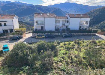 IMG_3693.jpg - Terreno agricolo Via delle Mele, Segni - foto 3