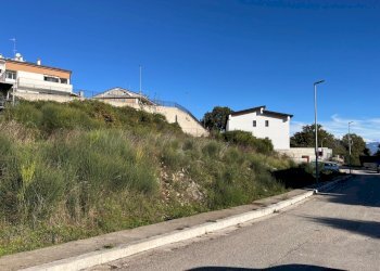 IMG_3702.jpg - Terreno agricolo Via delle Mele, Segni - foto 4