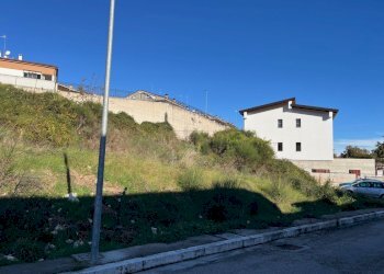 IMG_3704.jpg - Terreno agricolo Via delle Mele, Segni - foto 5