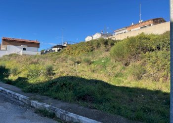 IMG_3705.jpg - Terreno agricolo Via delle Mele, Segni - foto 7