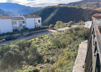 IMG_3691.jpg - Terreno agricolo Via delle Mele, Segni - foto 9