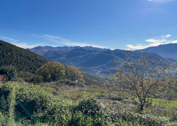 IMG_3708.jpg - Terreno agricolo Via delle Mele, Segni - foto 14