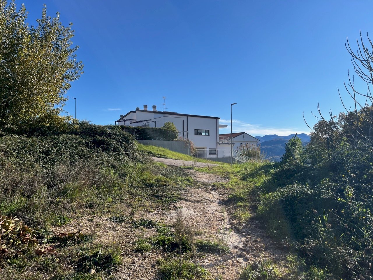 IMG_3700.jpg - Terreno agricolo Via delle Mele, Segni - foto 1