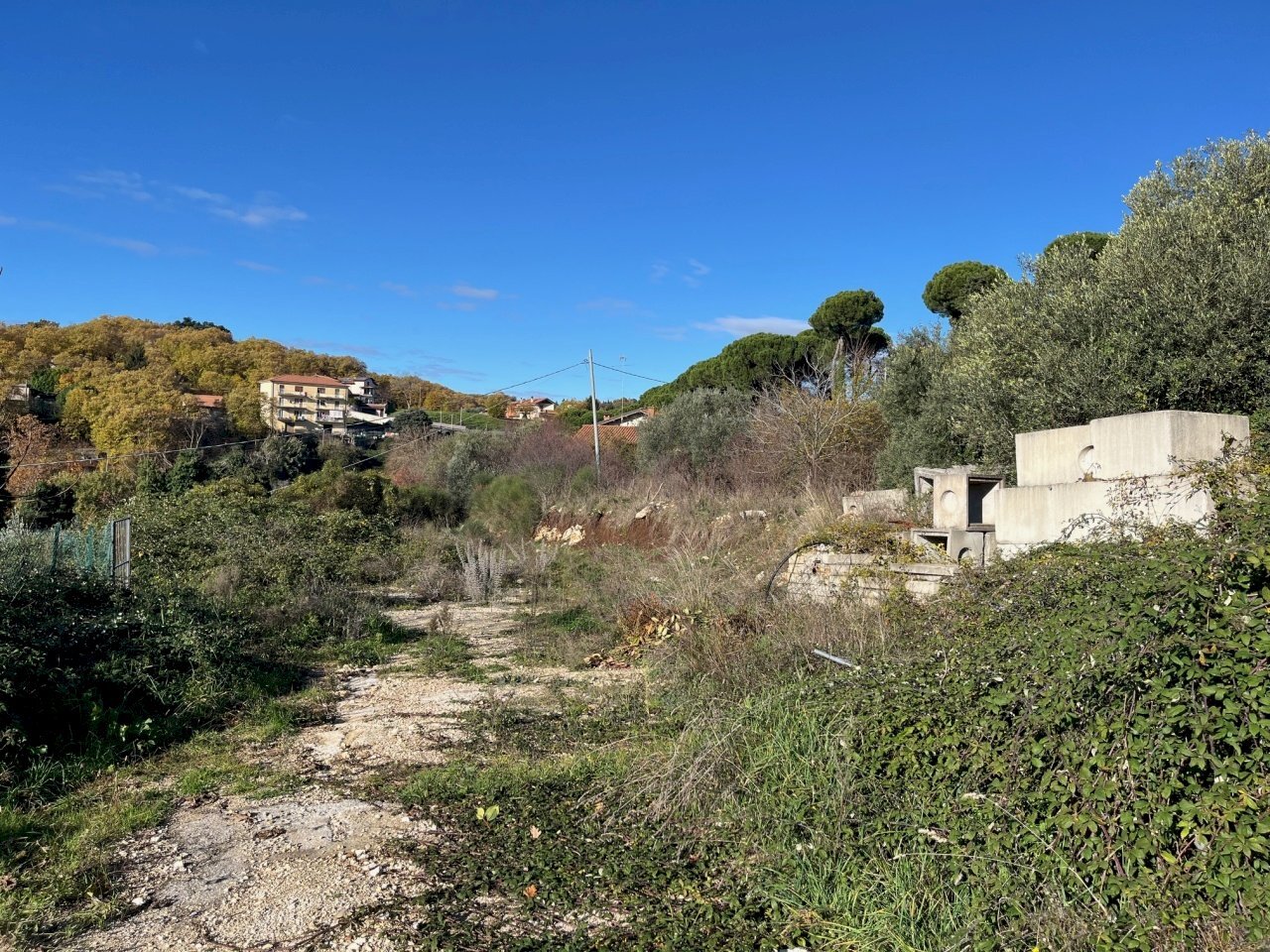 IMG_3697.jpg - Terreno agricolo Via delle Mele, Segni - foto 2