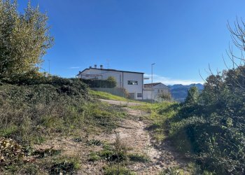 IMG_3700.jpg - Terreno agricolo Via delle Mele, Segni - foto 1