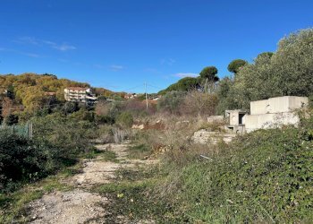 IMG_3697.jpg - Terreno agricolo Via delle Mele, Segni - foto 2