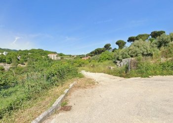 2.JPG - Terreno agricolo Via delle Mele, Segni - foto 3