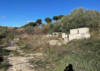 IMG_3698.jpg - Terreno agricolo Via delle Mele, Segni - foto 4