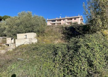 IMG_3699.jpg - Terreno agricolo Via delle Mele, Segni - foto 5