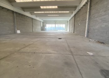 IMG_1536.jpeg - Capannone via don milan 2, Guardamiglio - foto 7