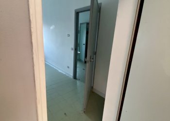 IMG_1537.jpeg - Capannone via don milan 2, Guardamiglio - foto 8