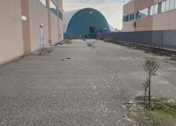 IMG_1074.jpeg - Capannone Via Roma 2, Guardamiglio - foto 7