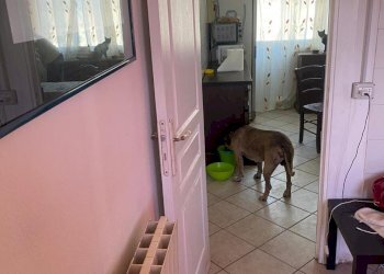 IMG-20220308-WA0021.jpg - Porzione di casa Sanremo - foto 13