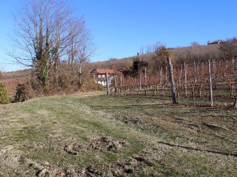 Casale Dogliani - foto 2