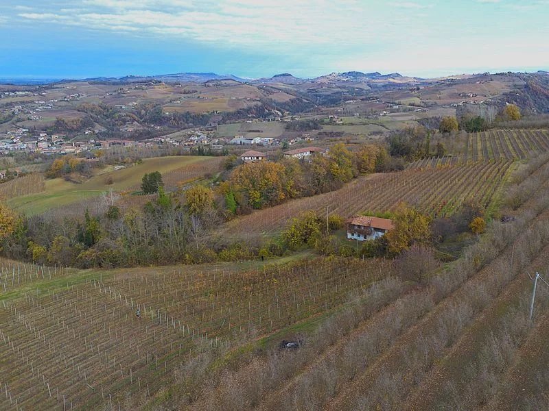 Casale Dogliani - foto 1