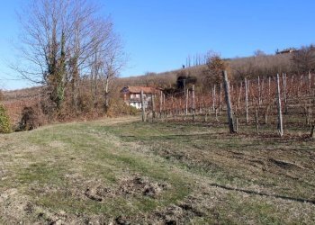 Casale Dogliani - photo 2