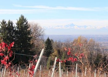 Casale Dogliani - photo 27