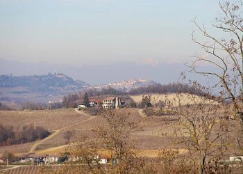 Casale Dogliani - photo 29