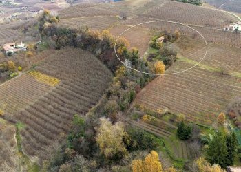 Casale Dogliani - photo 25