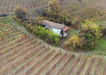 Casale Dogliani - photo 26