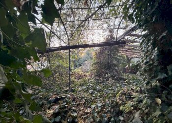 Casa semi indipendente Piazza rovere, Castagneto Po - foto 16