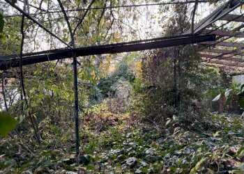 Casa semi indipendente Piazza rovere, Castagneto Po - foto 18