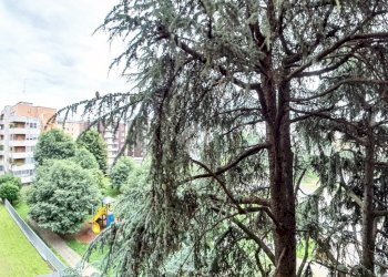 Three-room apartment Via Dante Alighieri, San Donato Milanese - photo 25