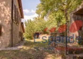 Rustico Camugnano - foto 4