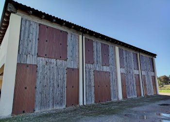 Warehouse Medolla - photo 7