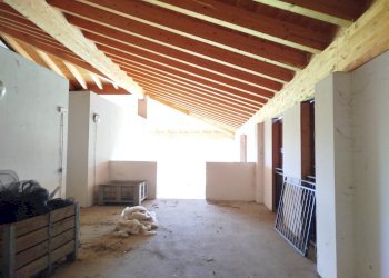 Warehouse Medolla - photo 8