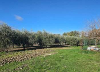 Foto 12 - Casa semi indipendente Contrada Sant'Andrea
 
13, Paternopoli - foto 12