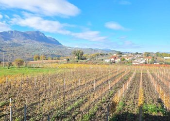 Foto 13 - Casa semi indipendente Contrada Sant'Andrea
 
13, Paternopoli - foto 13