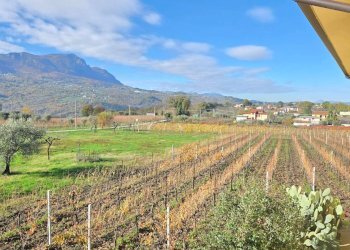 Foto 36 - Casa semi indipendente Contrada Sant'Andrea
 
13, Paternopoli - foto 36