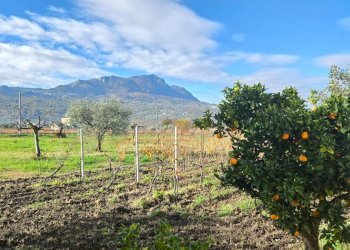 Foto 37 - Casa semi indipendente Contrada Sant'Andrea
 
13, Paternopoli - foto 37
